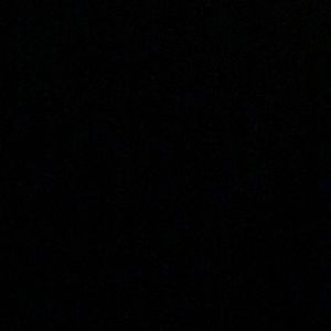 Meet your Posher, Bobby